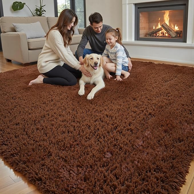 Rugs for Bedroom 4x6, Alfombras para Salas Shag Plush Soft Area Rug, Shaggy Carpets for Livingroom,Home Decor Aesthetic(Coffee, 4 x 6)