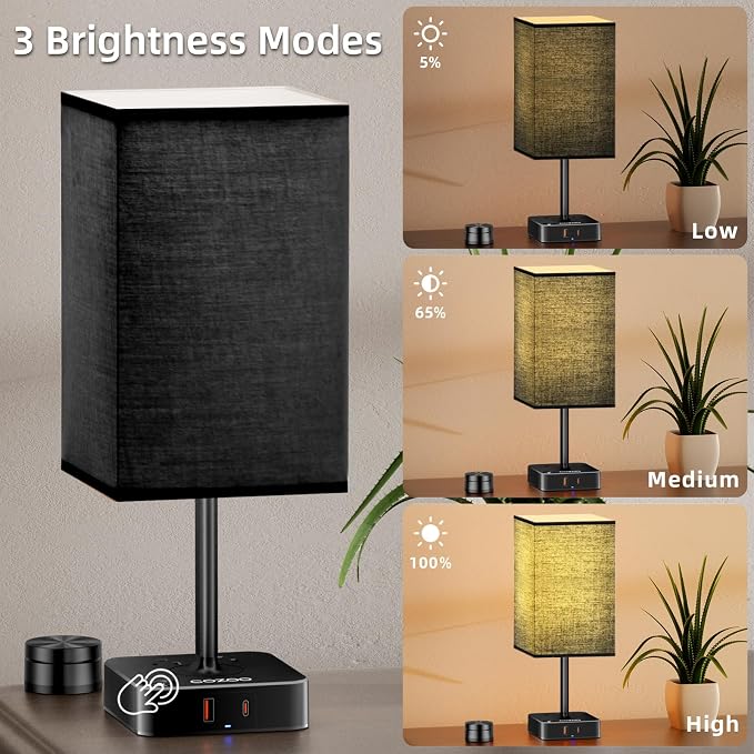 cozoo Bedside Table Lamp for Bedroom, 3 Way Dimmable & Remote Control Stepless Dimming Touch Nightstand Lamp, 2 USB Ports and 2 AC Outlets, Small Desk Light for Living Room, Bed, Study, Black