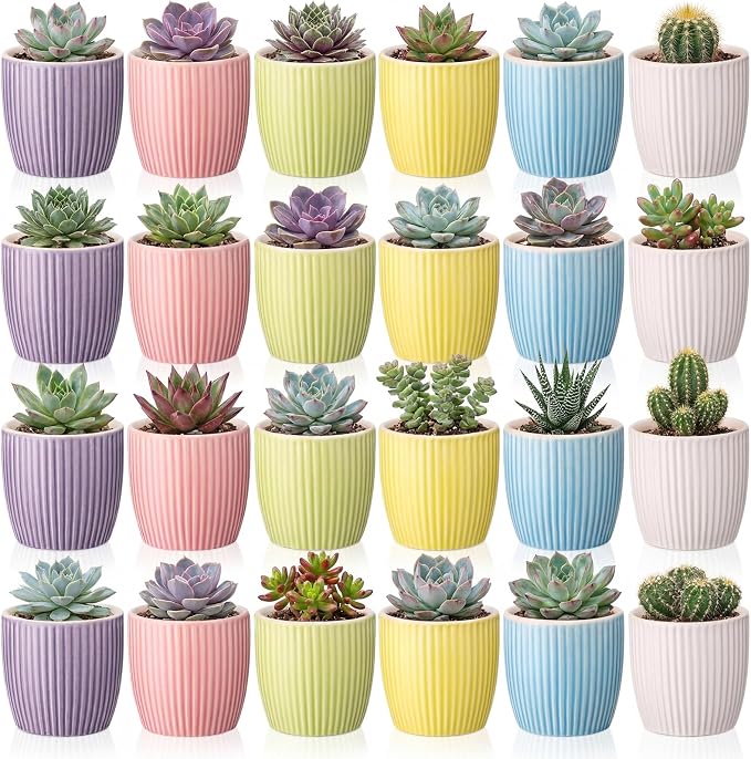 24 Pcs 2.7 Inch Small Succulent Plant Ceramic Pot with Drainage Hole, Cute Mini Succulent Pots for Plants, Succulents, Cactus, DIY Easter Spring Craft Activity, 6 Colors(Vertical Stripes)