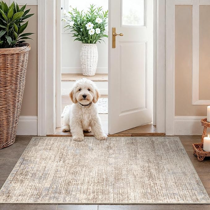 Washable Entryway 2x3 Area Rug: Small Abstract Kitchen Rugs for Indoor Bathroom Entrance Non Slip Door Mat with Rubber Backing Soft Carpet for Bedroom Pet Feeding Area (Ivory Beige Distressed,2x3)