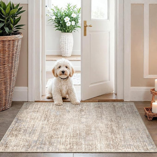 Washable Entryway 2x3 Area Rug: Small Abstract Kitchen Rugs for Indoor Bathroom Entrance Non Slip Door Mat with Rubber Backing Soft Carpet for Bedroom Pet Feeding Area (Ivory Beige Distressed,2x3)