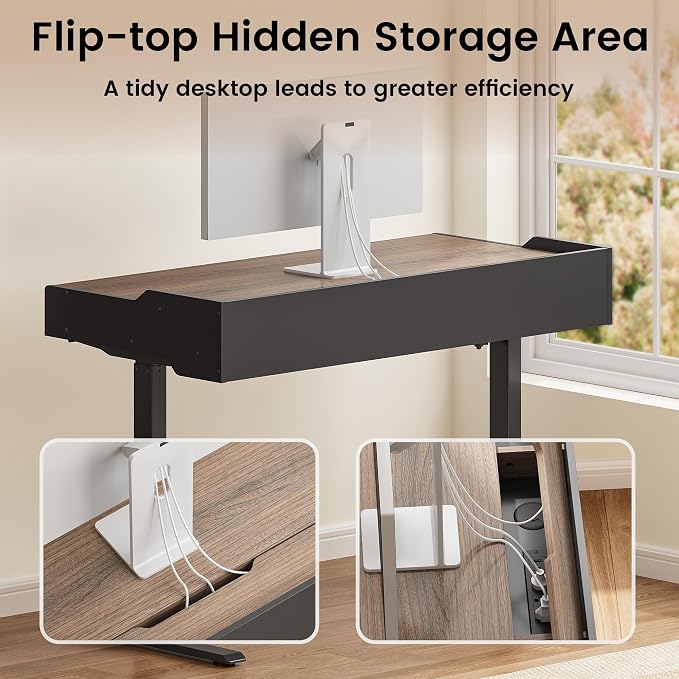 ModernMate Electric Standing Desk with Drawers, Hidden Cable Management | 48 x 24 Inches Height Adjustable Desk, Stand Up Table with Storage for Home Office, Black Walnut