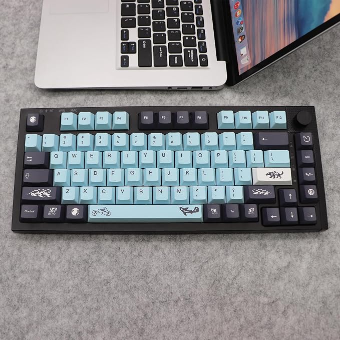 JSJT Sky and Blue Keycaps -Custom Keycap137 Keys PBT Dye Sublimation Cherry Profile Keycaps for ANSI/ISO Layout rk61/64/68/84/980/104 MX Switches Mechanical Keyboards