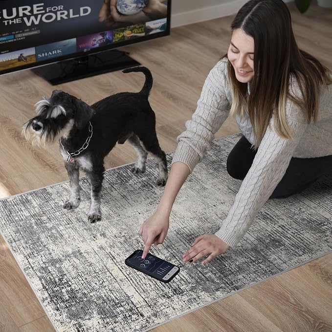 3x20 Hallway Washable Runner Rug - Non-Slip Kitchen Rugs with Rubber Backing Abstract Neutral Low-Pile Carpet Runners for Laundry Room Home Decor Bedroom Bathroom Entryway (Gray Beige,3x20)