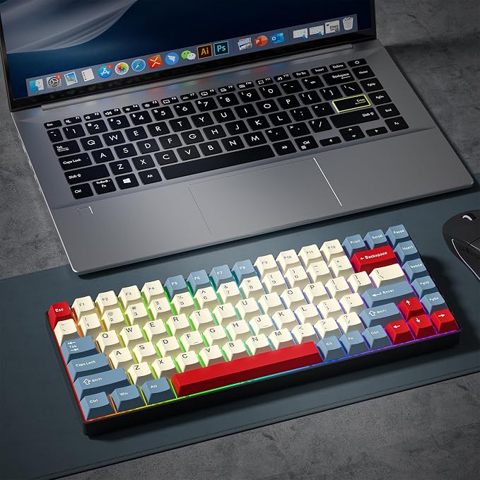 PBT Keycaps Set, Doubleshot 137 Key Caps,Cherry Profile Custom Keycap for 61/64/68/84/87/100/104/108 Mechanical Keyboard, Compatiability for 60 65 75 100 Percent Keyboads (White Blue Red)