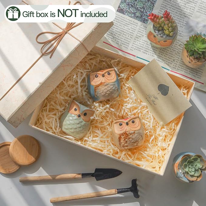 T4U Owl Ceramic Succulent Planter Set of 6, 2.5 Inch - Mini Cute Animal Pots with Drainage Holes, Small Flower Planters for Windowsill Desk Decor, Gift for Owl Lovers