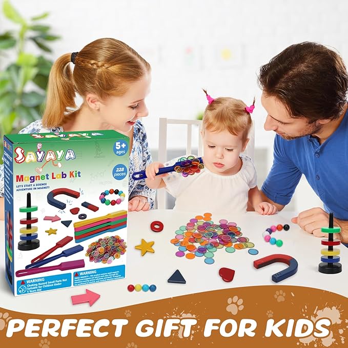 228 PCS Magnetic Science Kit for Kids - Magnetic Balls, Bingo Wands with Chips, DIY Magnet Toys for Kindergartners, Back to School Supplies, Educational Learning Activities for Classroom