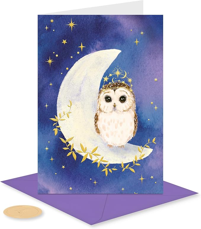Papyrus 12-Count All Occasion Blank Stationery Notes, Celestial Owl Watercolor
