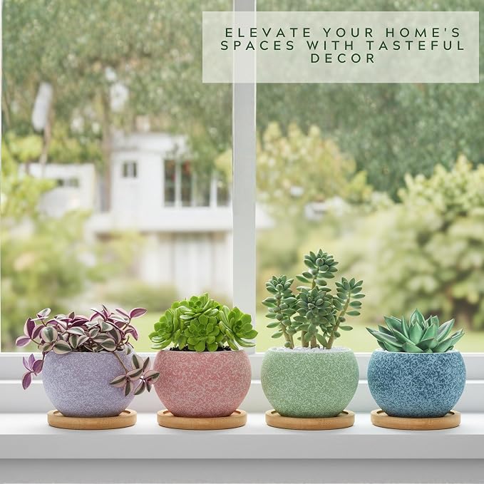 3 inch Ceramic pots for Plants, Small Succulent Pots Set with Drainage, 6 Pack Flower Pot for Indoor Plant, Planters for Little or mini Cactus 2 inches Plants