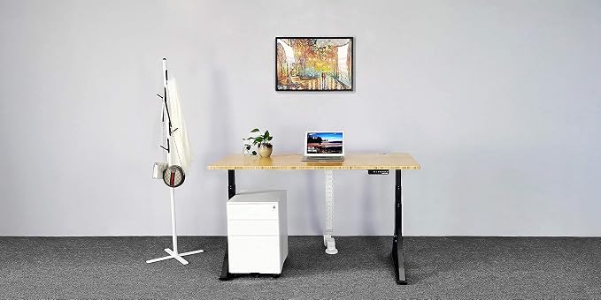 VJ205 Electric Height Adjustable Sitting Standing Desk Frame Sit Stand - Dual Motors 3 Stages Motorized Desk Base Only, Black