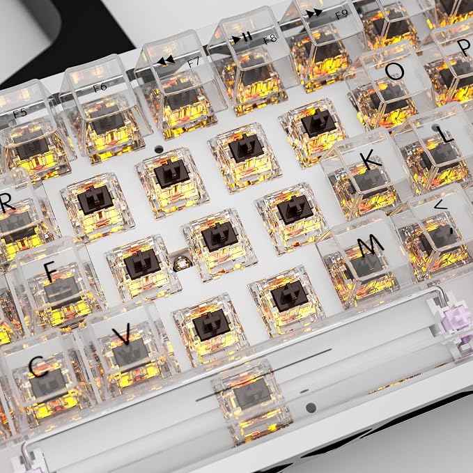 Zhouwang Crystal Brown Switch Mechanical Keyboard Replacement,3 Pin Tactile/Accurate Typing/Dustproof/RGB Transparent Gaming Keyboard Switches(108Pcs)