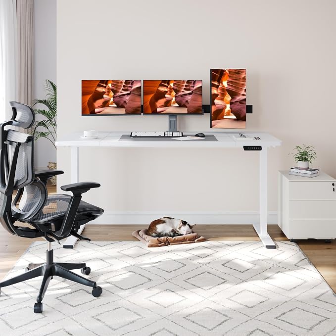 Dual Motor Standing Desk, Large Stand Up Desks, 71x31 Inches Electric Sit Stand Desk, 4 Memory Preset Adjustable Height Desks Home Office Desks(White)