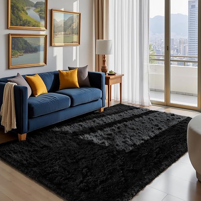 Fluffy Rug Shag Area Rug, Black 5x8 Area Rugs for Bedroom, Small Bedside Rug, Soft Fluffy Shag Entryway Throw Rugs for Living Room Bedroom Room Home Decor