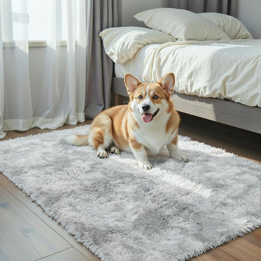 Small Rug Throw Rugs for Bedroom, Mini Area Rug, Fluffy Grey Carpet, Affordable Door Entryway Indoor Inside Front Entrance Dog 2x3 Mat, Home Decor Aesthetic(2 x 3, Light Grey Tie-Dyed)