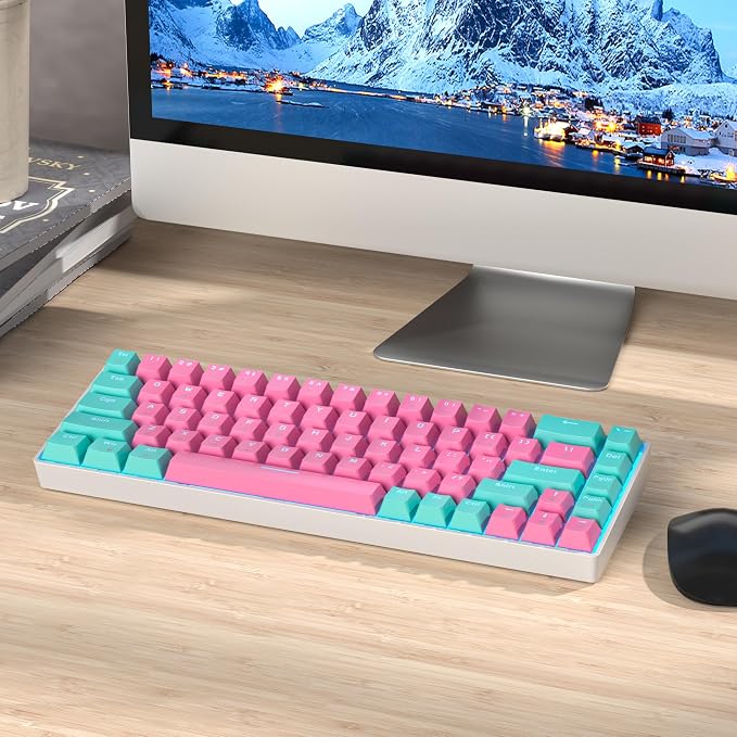 65 Percent Gaming Keyboard 68 Keys Wired Mechanical Keyboard LED Backlit Ultra Compact Keyboard with Red Switch for Windows Laptop Gamer(68 Miami)