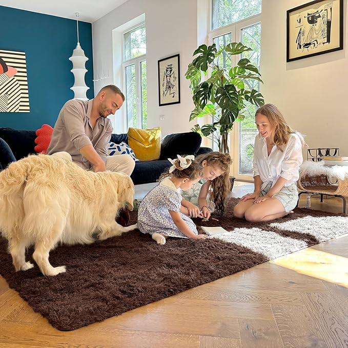 OLANLY 6x8 Machine Washable Large Area Rugs for Living Room, Bedroom, Soft Fluffy Shaggy Bedside Rug, Indoor Floor Carpet for Kids Girls and Boys, Dorms, Nursery, Home Decor Aesthetic, Coffee