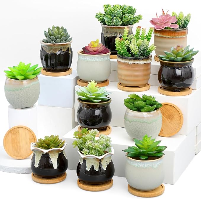 Remerry 18 Pcs Small Succulent Pots Bulk with Drainage 3.5 Inch Assorted Mini Ceramic Succulent Planters Pot with Coaster Bamboo Plant Tray Planting Pots for Home Office Garden