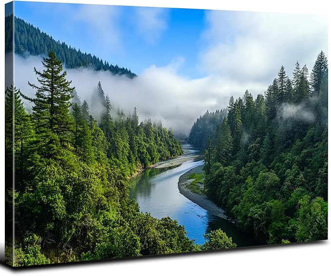 Nature Mountain Landscape Wall Art USA California National Parks Photography Wall Decor Yosemite Valley Green Forest Canvas Painting Contemporary Framed Posters Artwork Office Home Decorations 16x24"