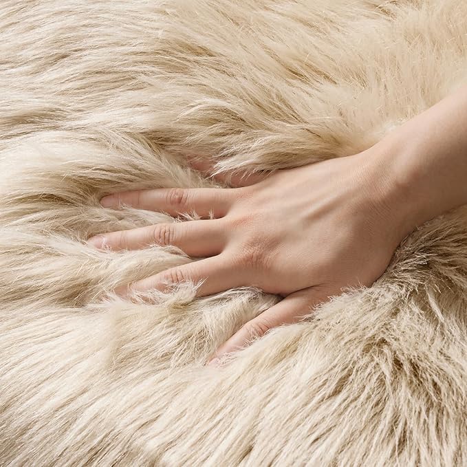 MIULEE Luxury Soft Fluffy Area Rug 3x5 Feet, Faux Fur Sheepskin Rug Decorative Plush Shaggy Carpet for Bedside Sofa Floor, Beige