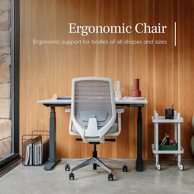 Branch Ergonomic Chair - A Versatile Desk Chair with Adjustable Lumbar Support, Breathable Mesh Backrest, and Smooth Wheels - Experience Optimal Comfort and Support - Graphite - White | Breathable Mesh Backrest and Smooth Wheels, Experience Optimal Com...