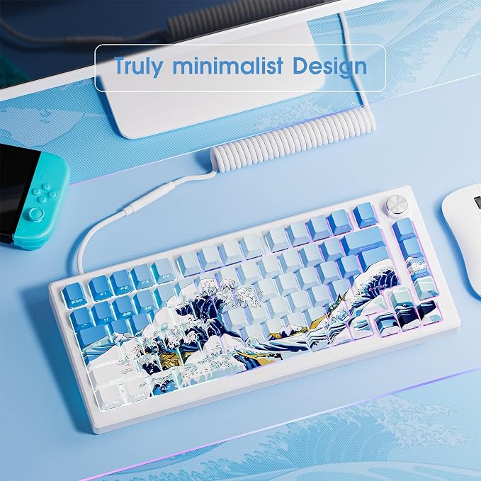 XVX Shine Through Keycaps, Side Print PBT Keycaps 75 Percent Dye Sub, 131 Keys Cherry Profile Custom Keycap 60 Percent, Wave of Kanagawa Double Shot Keyboard Keycap for Mechanical Keyboards