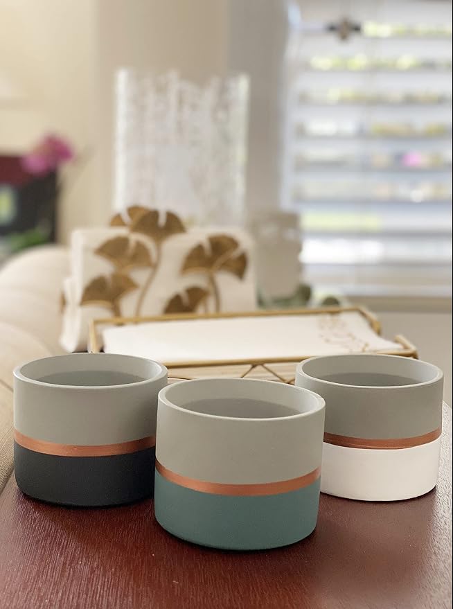 Assorted Nordic Cement Succulent Pots 3.5" Planters with Drainage | 3 Pack