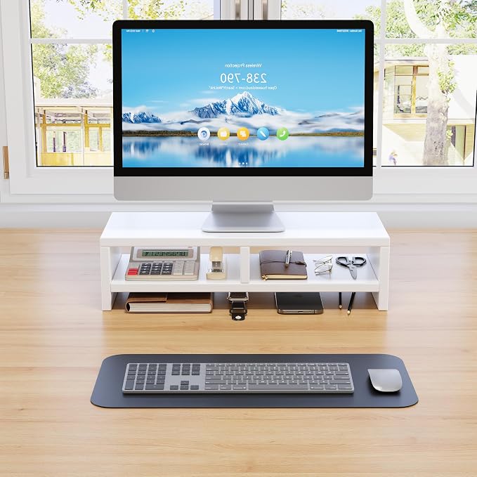 Monitor Stand for Desk, Wooden Computer Monitor Riser with Storage, 2-Tier Desktop Monitor Stand, Laptop Stand for Home Office, Study Desk, White, 19.5 Inches