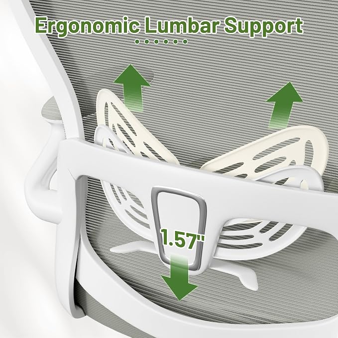 Furmax Ergonomic Office Chair Executive High Back Computer Desk Chair with 3D Adjustable Headrest, Adjustable Lumbar Support Armrests for Home Office (Light Gray)