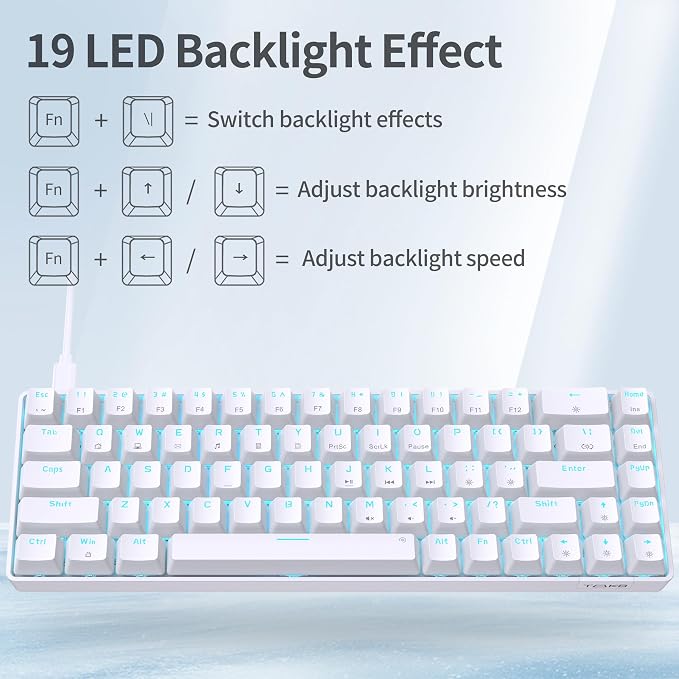 TMKB T68SE Gaming Keyboard, 60% Mechanical Keyboard, LED Backlit Ultra-Compact 68 Keys Wired Mini Keyboard with Separate Arrow/Control Keys for Windows Laptop PC Gamer Typist with Red Switch-White