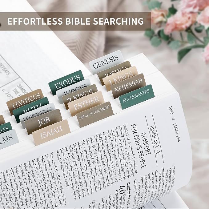 Bible Tabs for Women & Men, Bible Tabs for Study Bible, Large Print Neutral Bible Tabs for Easy Navigation, Bible Index Tabs, 66 Tabs Old & New Testament, Extra 9 Blank Tabs - Winter Wood