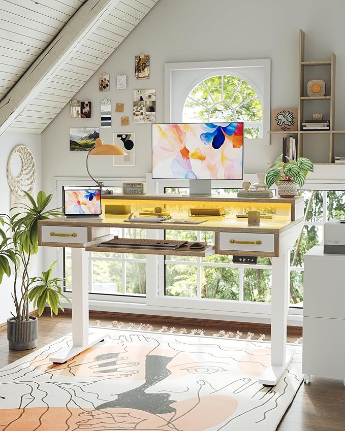 TIQLAB Standing Desk with Two Drawers, Stand Up Standing Desk Adjustable Height, Electric Sit Stand Table with Storage Shelf and Splice Board, with LED Light, 55 * 28 inch, Maple