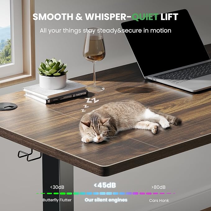 SIAGO Electric Standing Desk Adjustable - 48 x 24 Inch Sit Stand up Desk with 0.8 Inch Thick Tabletop - Adjustable Height Table with 3 Memory Preset, Cable Management for Home Office