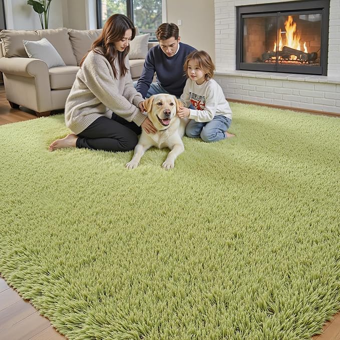 Rugs for Living Room 5x8, Alfombras para Salas Shag Large Plush Soft Area Rug, Shaggy Carpets for Bedroom,Boys Girls Home Decor Aesthetic(Grass Green, 5x8 Feet)