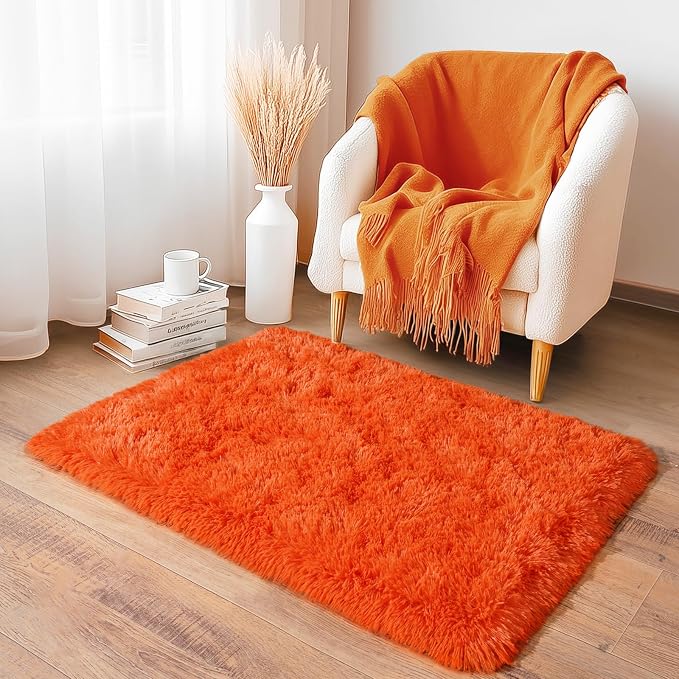 2x3 Small Rugs for Bedroom, Soft Fluffy Shaggy Bedside Area Rugs for Living Room, Indoor Floor Carpet for Kids Girls and Boys, Nursery Rooms, Home Decor Aesthetic, Orange
