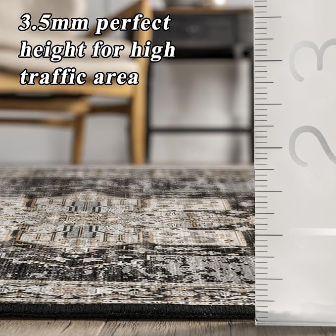 RUUGME Black Washable Entry Rug : 3x4 Rugs for Entryway Kitchen Bathroom Indoor - Soft Stain Resistant Carpets Distressed Floor Decor Mat 3x4 Black