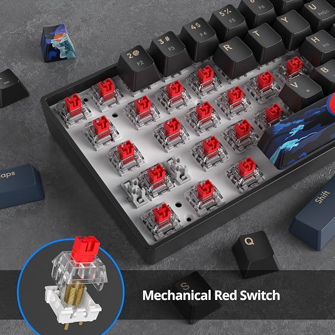 60 Percent Gaming Keyboard 68 Keys Mechanical Keyboard Rainbow Backlit Compact Wired Keyboard with Red Switch for Windows PS4/5 Xbox(68 Blue)
