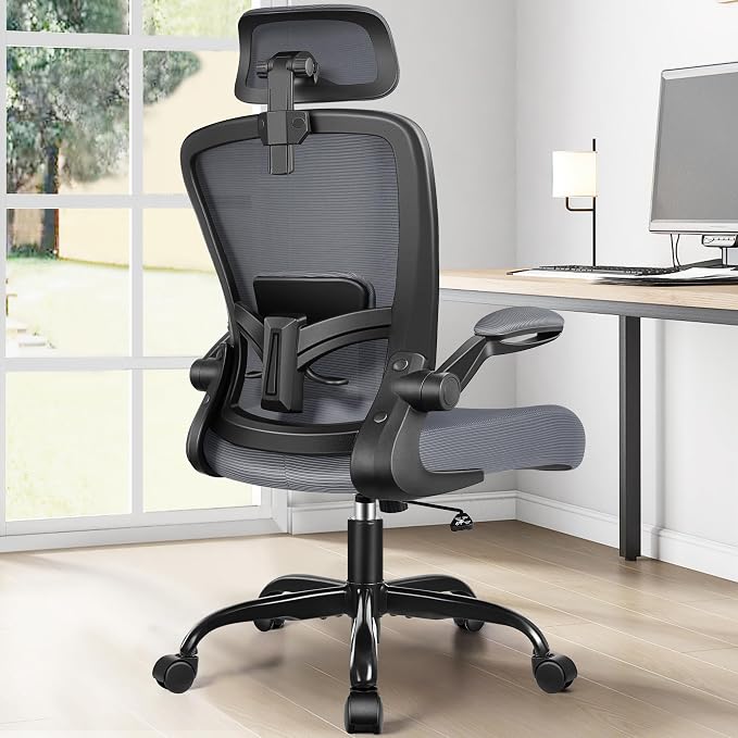 FelixKing Office Chair, Desk Chair with Adjustable Lumbar Support, Ergonomic Computer Chair with High Back and Armrest, Adjustable Height Gaming Chair Home Office Swivel Chair(Dark Gray)