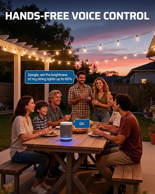DEWENWILS Wi-Fi Matter Smart Dimmer Plug, Remote Control, 2 Grounded Outlets, Work with Alexa/Google Home, Support 200W Dimmable LED/400W Tungsten Bulbs, Outdoor Dimmer for String Lights, 2.4GHz Only
