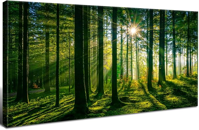 AIYISU Green Forest Canvas Wall Art Sunshine Forest Pictures Wall Decor Nature Sunlight Scenic Painting Poster Spring Forest Trees Prints Artwork for Living Room Bedroom Office Home Decorations 20x40