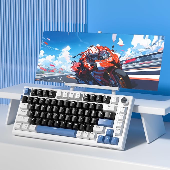 MageGee SKY81 75% Wireless Gasket Mechanical Gaming Keyboard, Hot Swappable RGB Custom Creamy Keyboard w/ 5-Layer Padding, BT/2.4G/USB-C, Knob Control, NKRO for Win/Mac (Mecha, Blue Whale Switch)