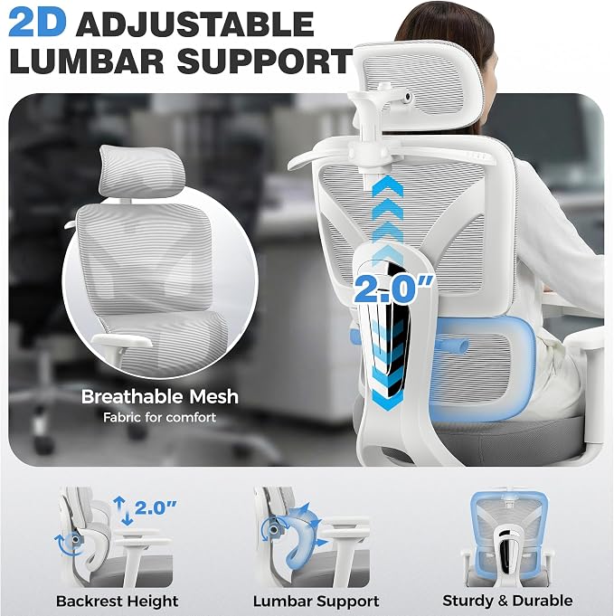 Office Desk Chair, Ergonomic Chairs Comfy with Adjustable Lumbar Support | Zoned Spine Support, Pressure Relief Back Support, Breathable Mesh Computer Chair for Long Workdays, Home Office, Gray
