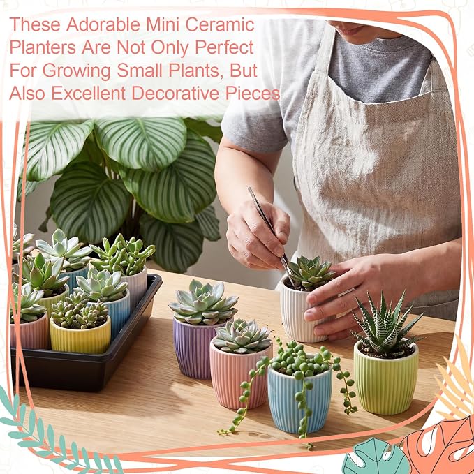 24 Pcs 2.7 Inch Small Succulent Plant Ceramic Pot with Drainage Hole, Cute Mini Succulent Pots for Plants, Succulents, Cactus, DIY Easter Spring Craft Activity, 6 Colors(Vertical Stripes)