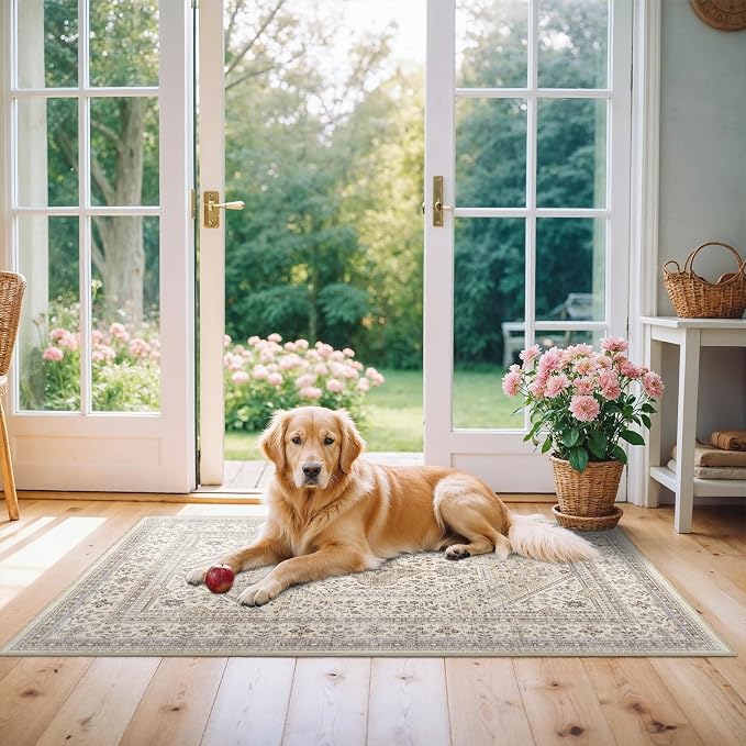 Washable 2x4 Runner Rug for Entryway: Non Slip Kitchen Rugs with Rubber Backing Soft Pet-Friendly Mats Stain Resistant Low Pile Carpet for Hallway Bedroom Bathroom Laundry Home Decor Beige/Gray