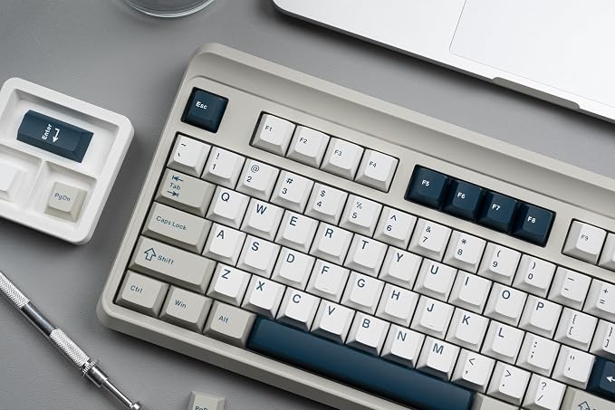 PBT Keycaps Set, Doubleshot 137 Key Caps,Cherry Profile Custom Keycap for 61/64/68/84/87/100/104/108 Mechanical Keyboard, Compatiability for 60 65 75 100 Percent Keyboads (White Grey Blue)