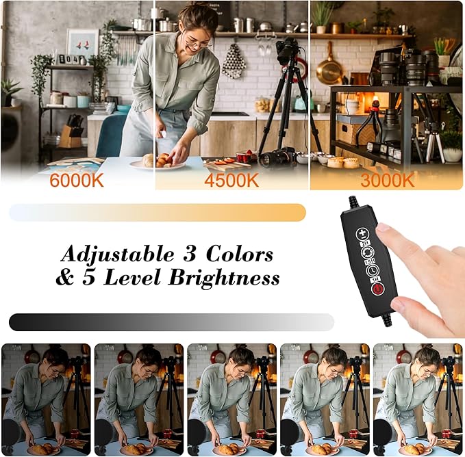 Light for Video Recording, 3 Color & 5 Brightness Video Light Clip on Desktop Monitor, Timer Setting with USB Plug Webcam Light for Meeting, Video Calls, Remote Working, Live Streaming - 4.7''