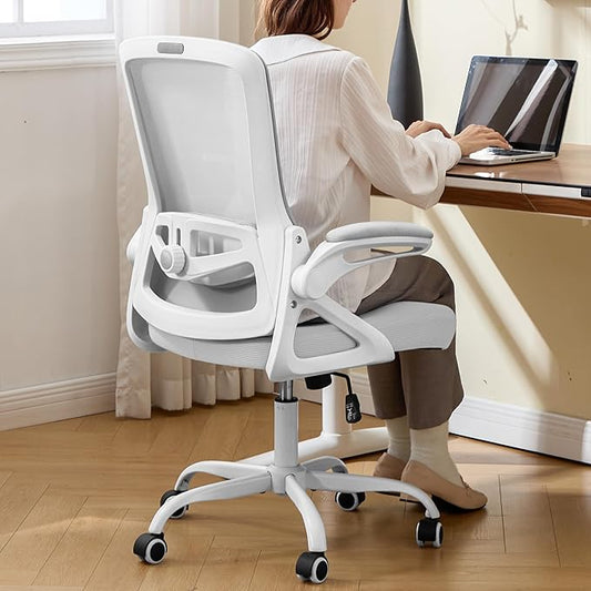 Ergonomic Office Chair, Desk Chair with Adjustable Lumbar Support, Breathable Mesh Comfy Computer Chairs with Flip-up Armrests Executive Task Chair for Adults Home Office(Gray)