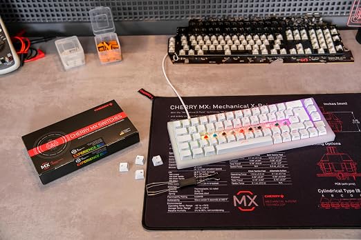 CHERRY MX2A Experience Box, 10 Piece Sample Tester, Mechanical Keyboard Switches, for DIY, Hot Swap or Gaming Keyboard, for Testing and Getting to Know Them, Original CHERRY Quality
