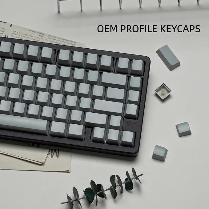dagaladoo doubleshot PBT keycap Set,Japanese keycaps Shine Through,Side Printed Key caps Keyboard,Cherry Profile Custom Keycap for Mechanical Gaming Keyboards(Light Grey)