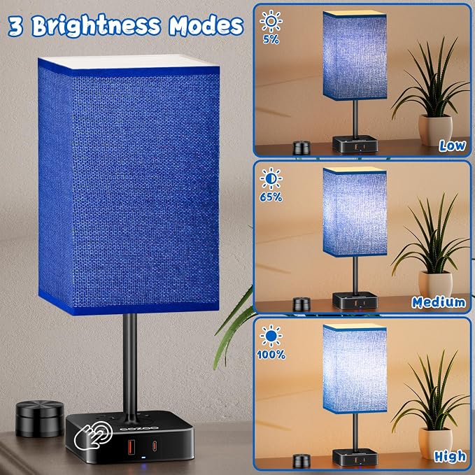 cozoo Bedside Table Lamp for Bedroom, 3 Way Dimmable & Remote Control Stepless Dimming Touch Nightstand Lamp, 2 USB Ports and 2 AC Outlets, Small Desk Light for Living Room, Bed, Study, Blue