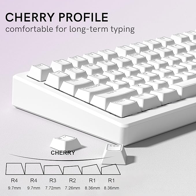 Womier PBT Keycaps Set 130 Keys, Custom White Japanese Keyboard Doubleshot Dye Sub Side Print Shine Through Keycaps 60 65 75 100 Percent, Cherry Profile (White 4)